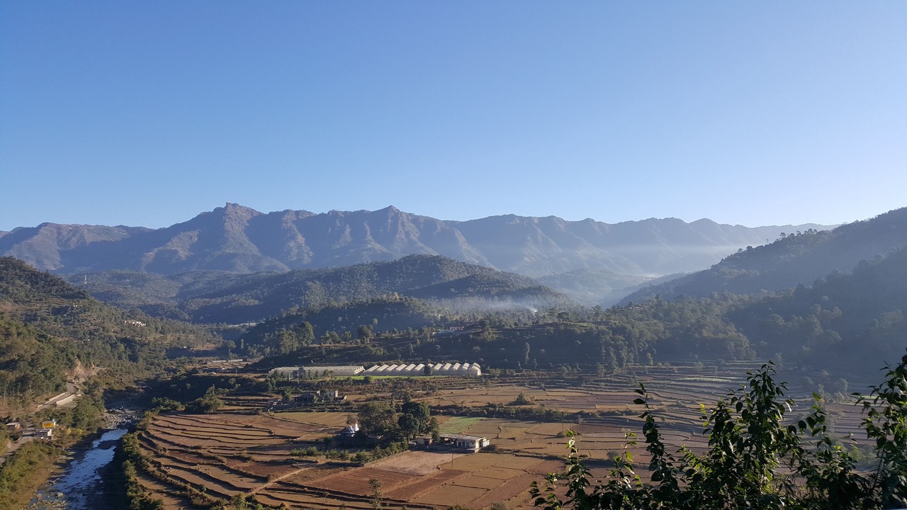 Photo of Others in Morni