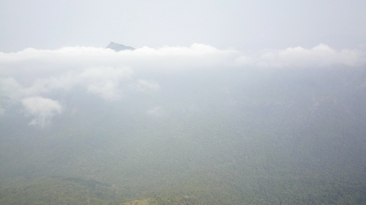 Photo of Outdoor in Mudigere