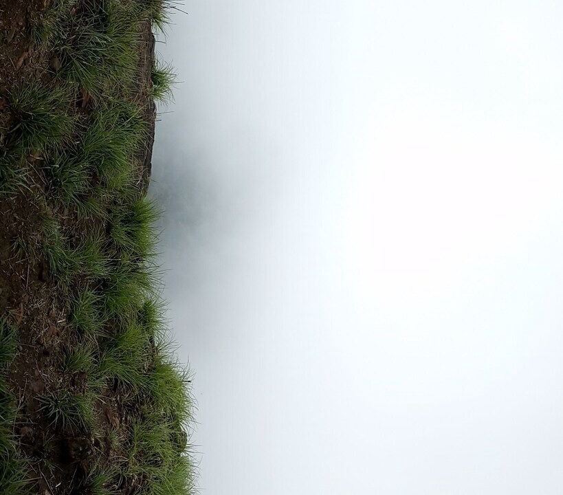 Photo of Others in Mudigere