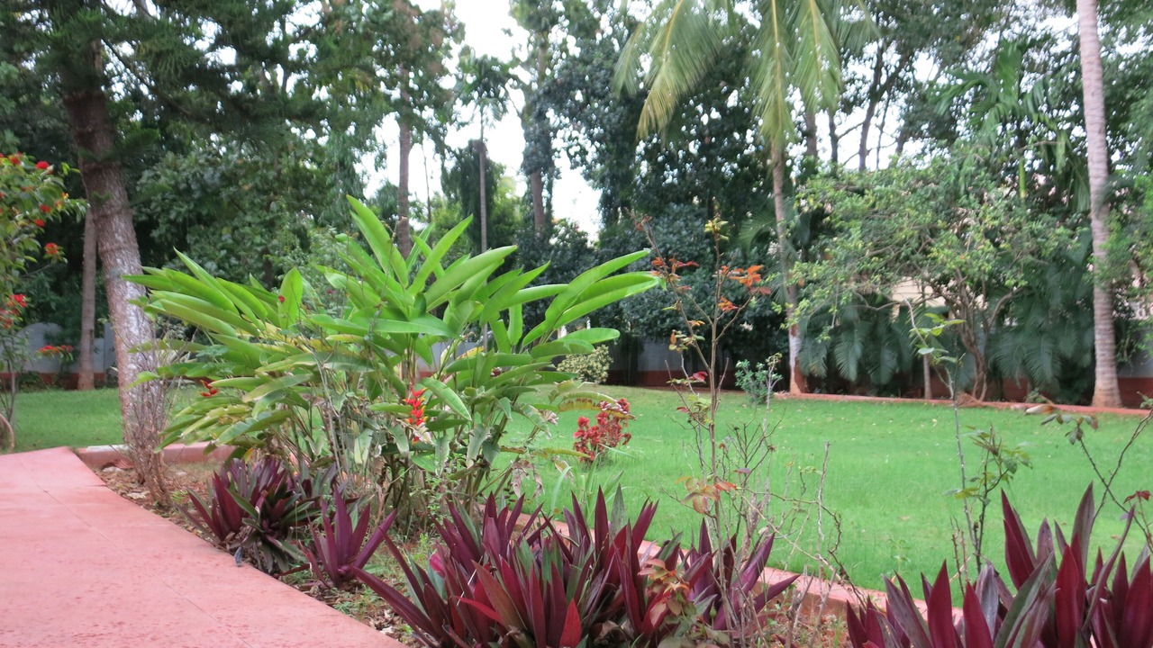 Photo of Outdoor in Mysore