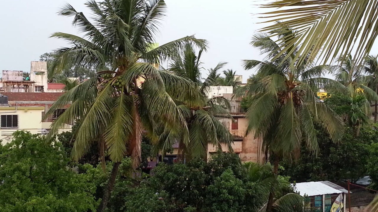 Photo of Outdoor in Kolkata