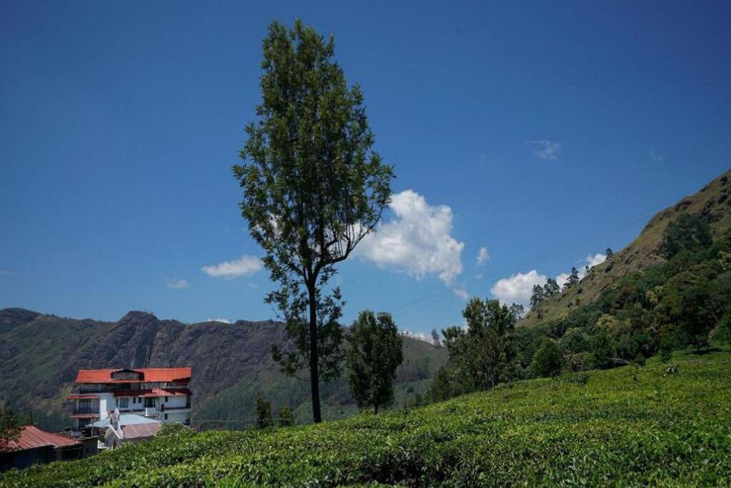 Photo of Outdoor in Munnar