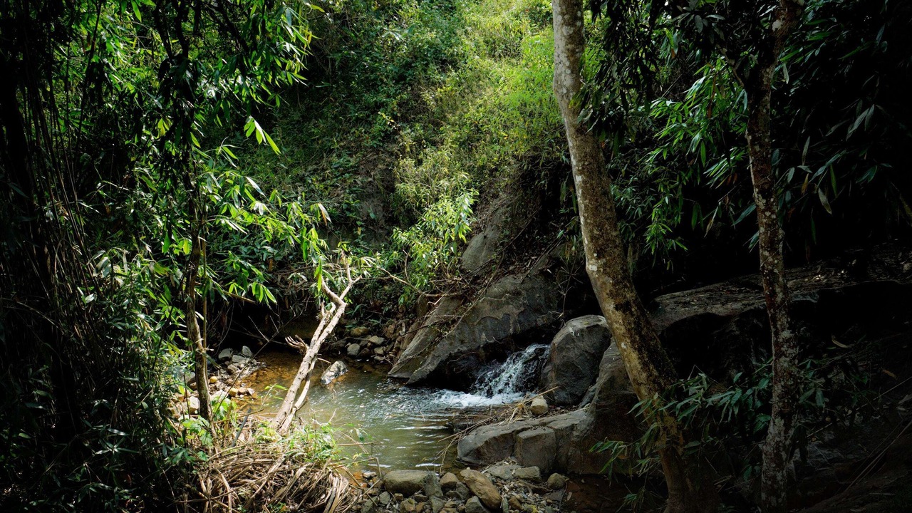 Photo of Outdoor in Chithirapuram