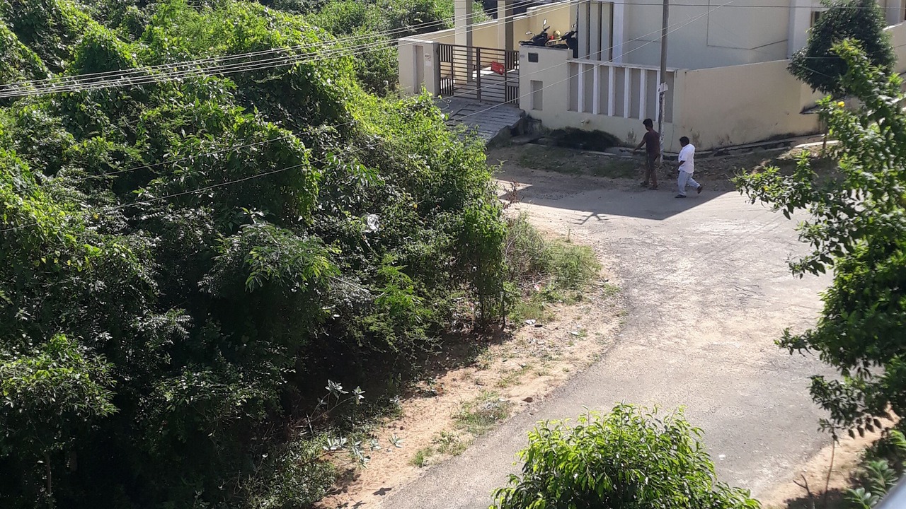 Photo of Others in Visakhapatnam