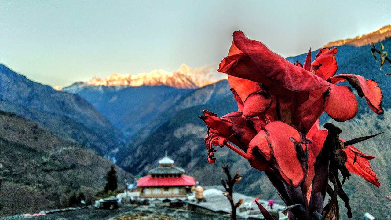 Photo of Outdoor in Kharsali