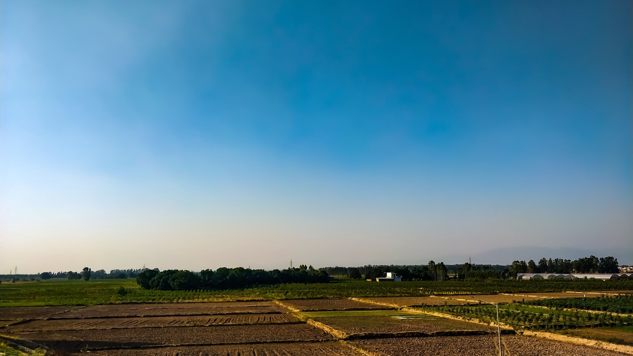 Photo of Others in Mohali
