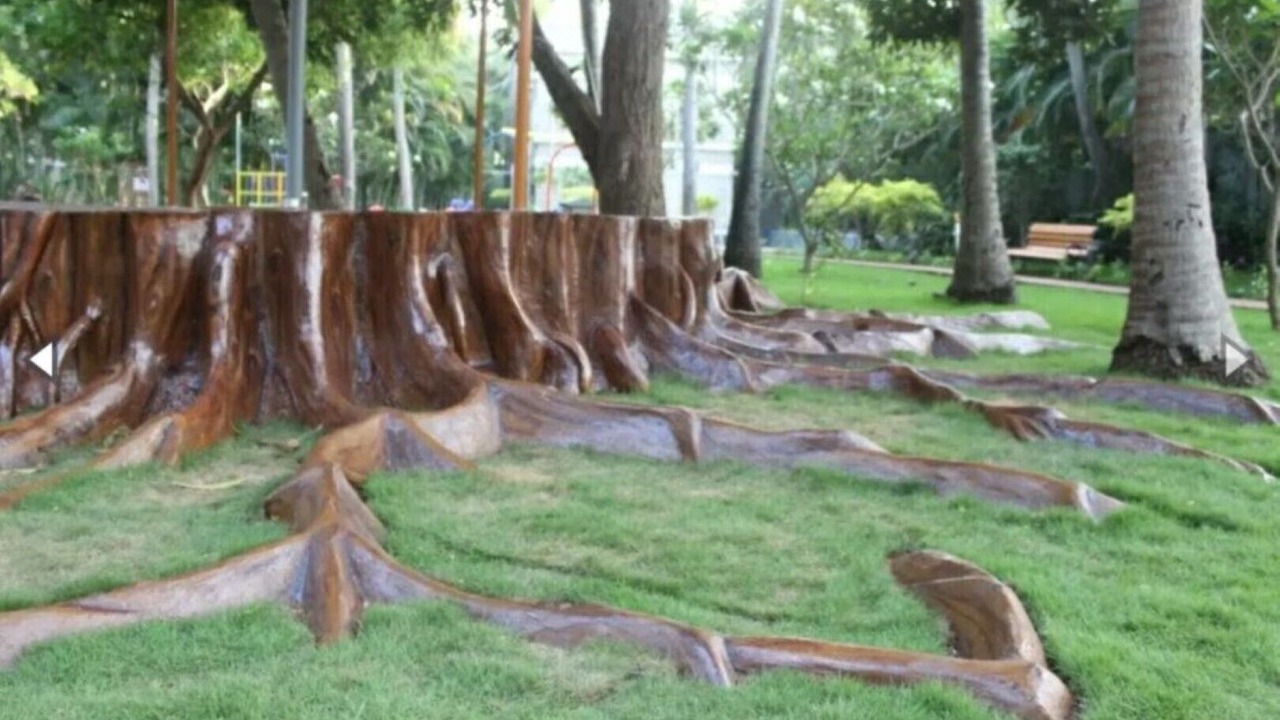 Photo of Outdoor in Sadras