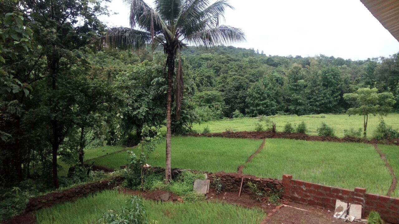 Photo of Others in Lanja