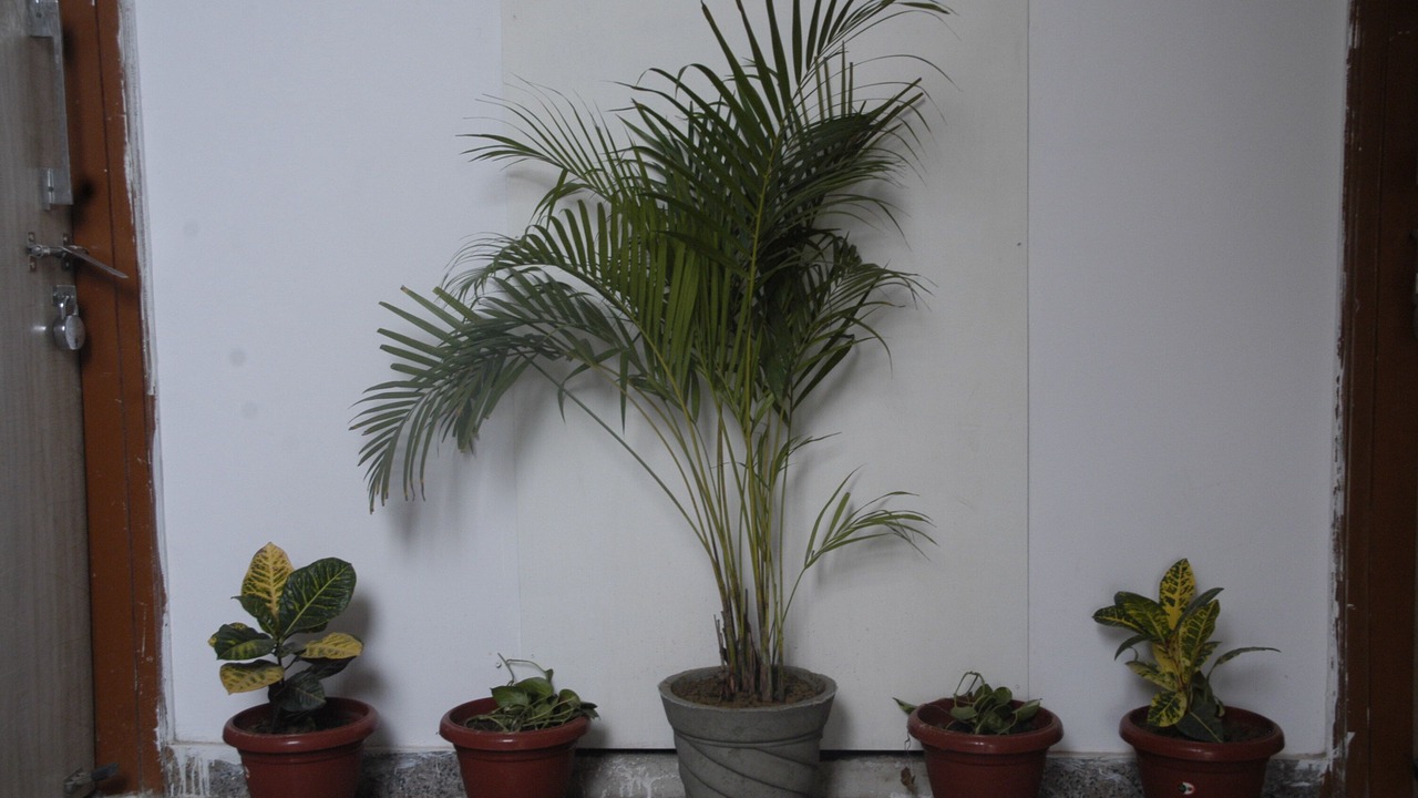 Photo of Others in Delhi