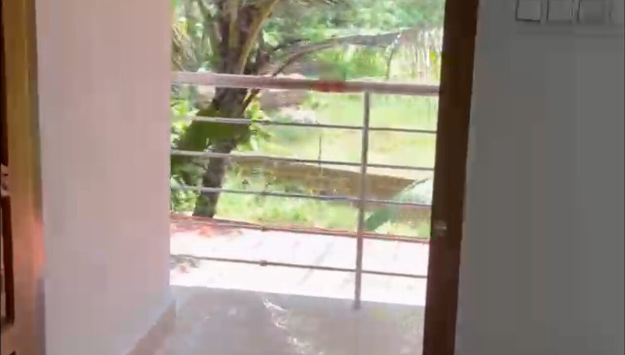 Photo of Others in Kannur