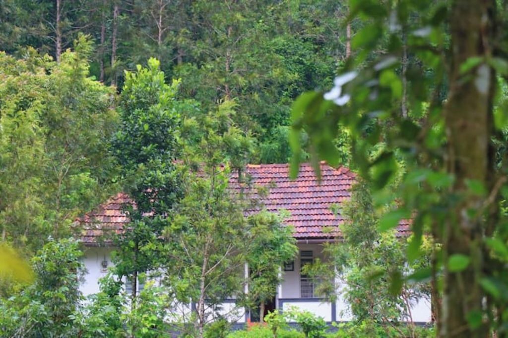 Photo of Outdoor in Udumbanchola