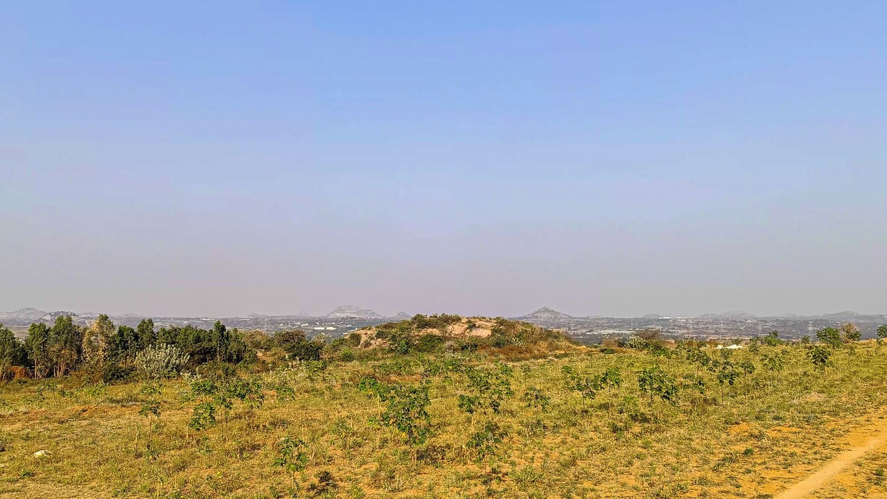 Photo of Others in Denkanikota