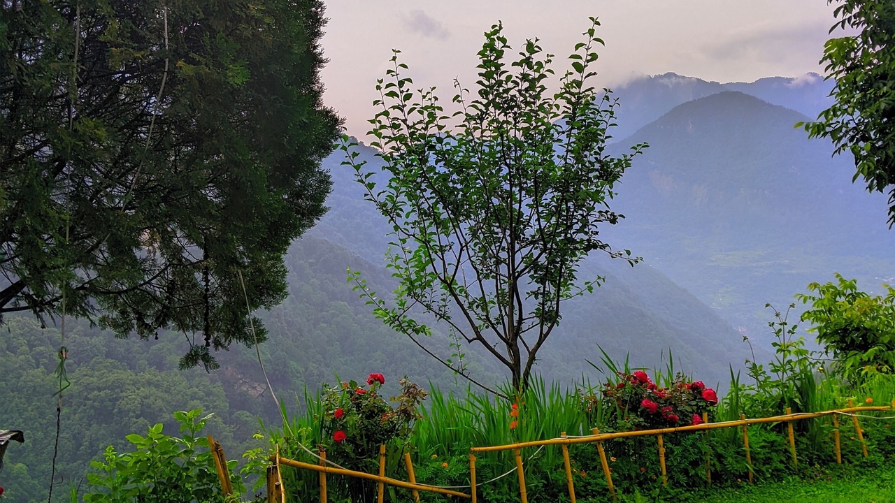 Photo of Outdoor in Kharsali