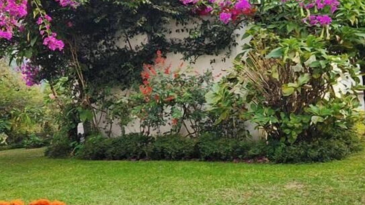 Photo of Outdoor in Shyamkhet