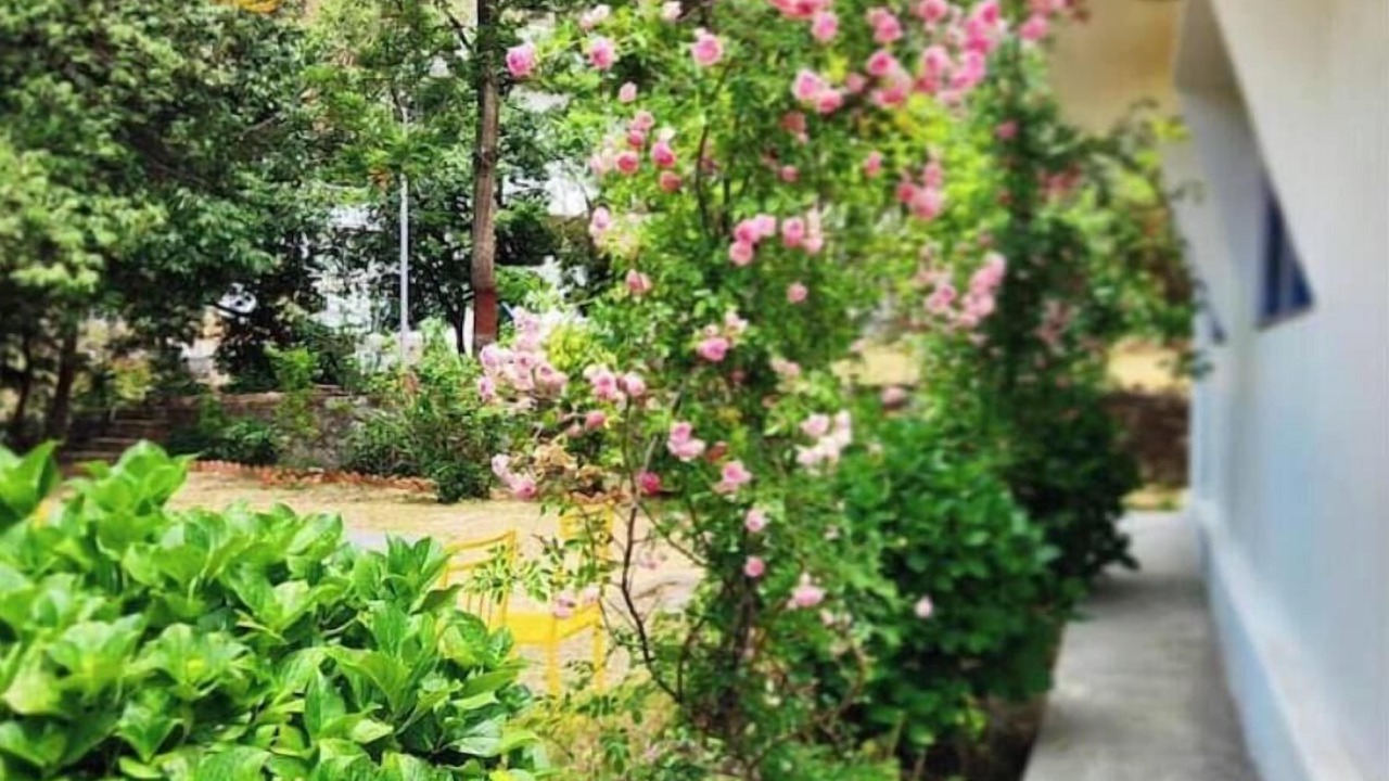 Photo of Outdoor in Shyamkhet