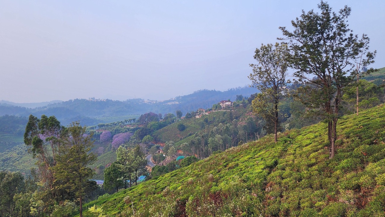 Photo of Others in Ooty