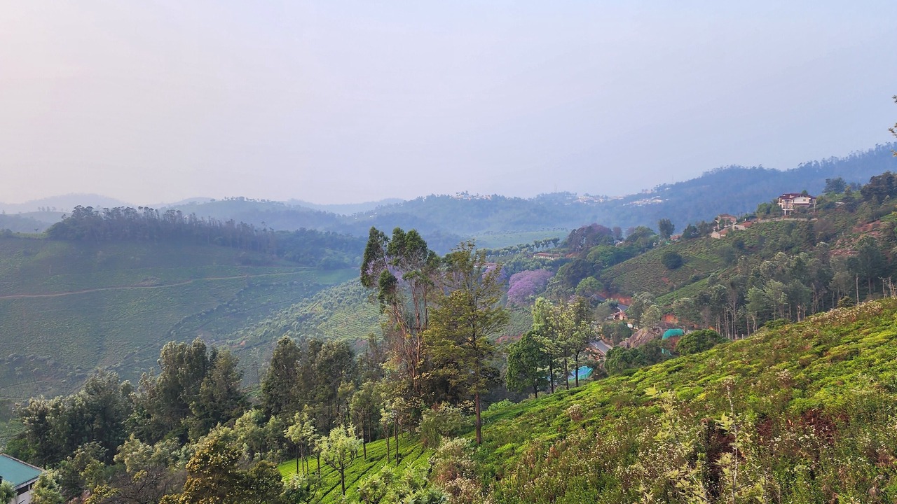 Photo of Others in Ooty