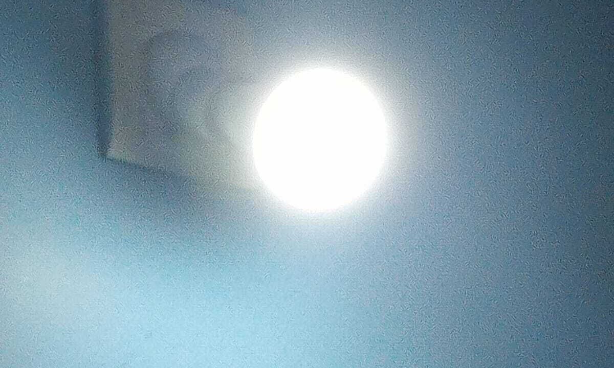 Photo of Others in Bhowanipore