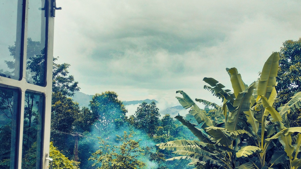Photo of Others in Kurseong