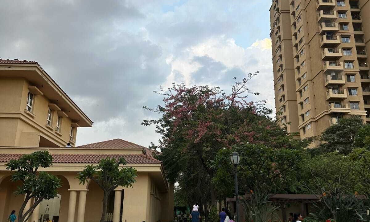 Photo of Others in Bengaluru