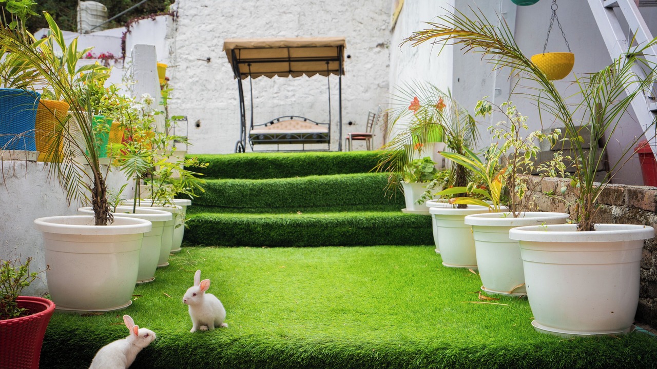 Photo of Outdoor in Mussoorie