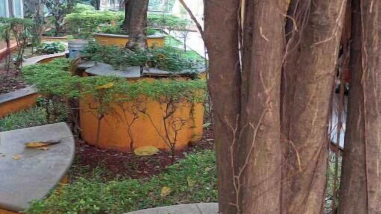 Photo of Outdoor in Bengaluru