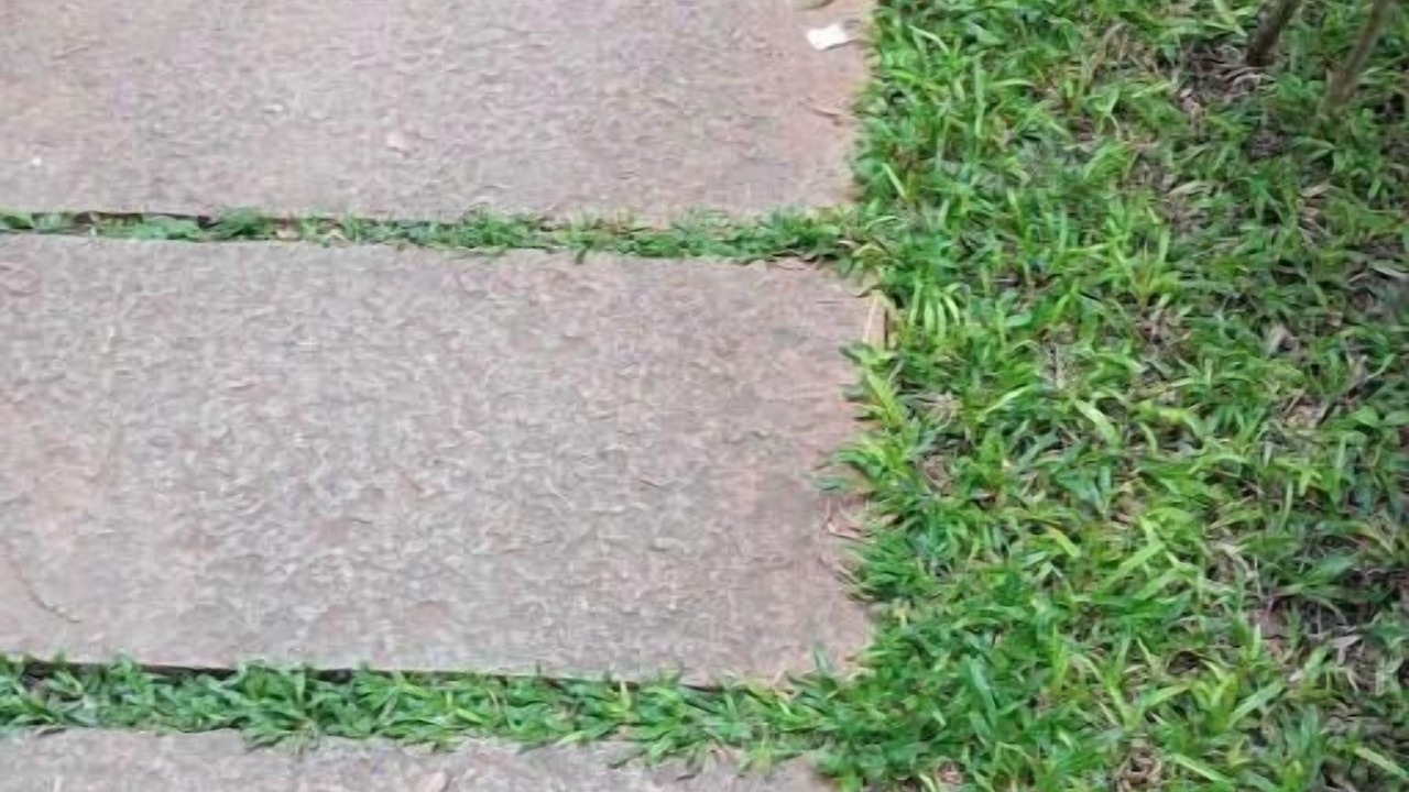 Photo of Outdoor in Bengaluru