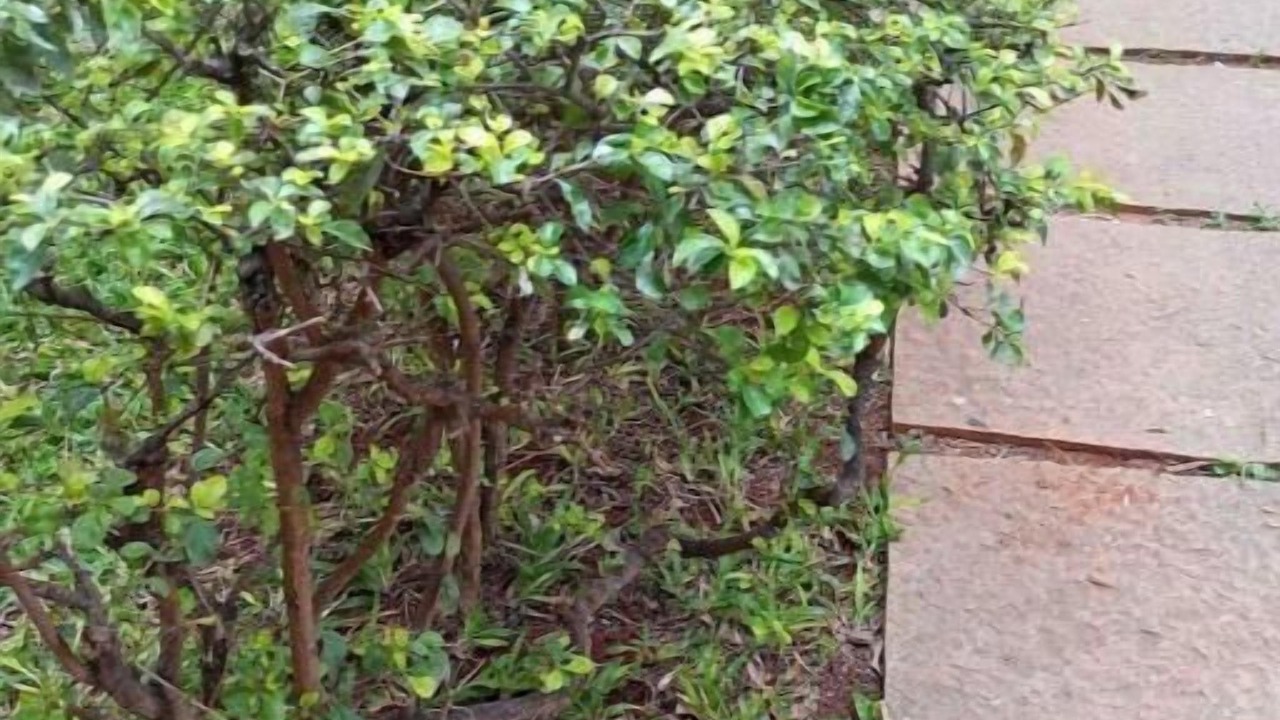 Photo of Outdoor in Bengaluru