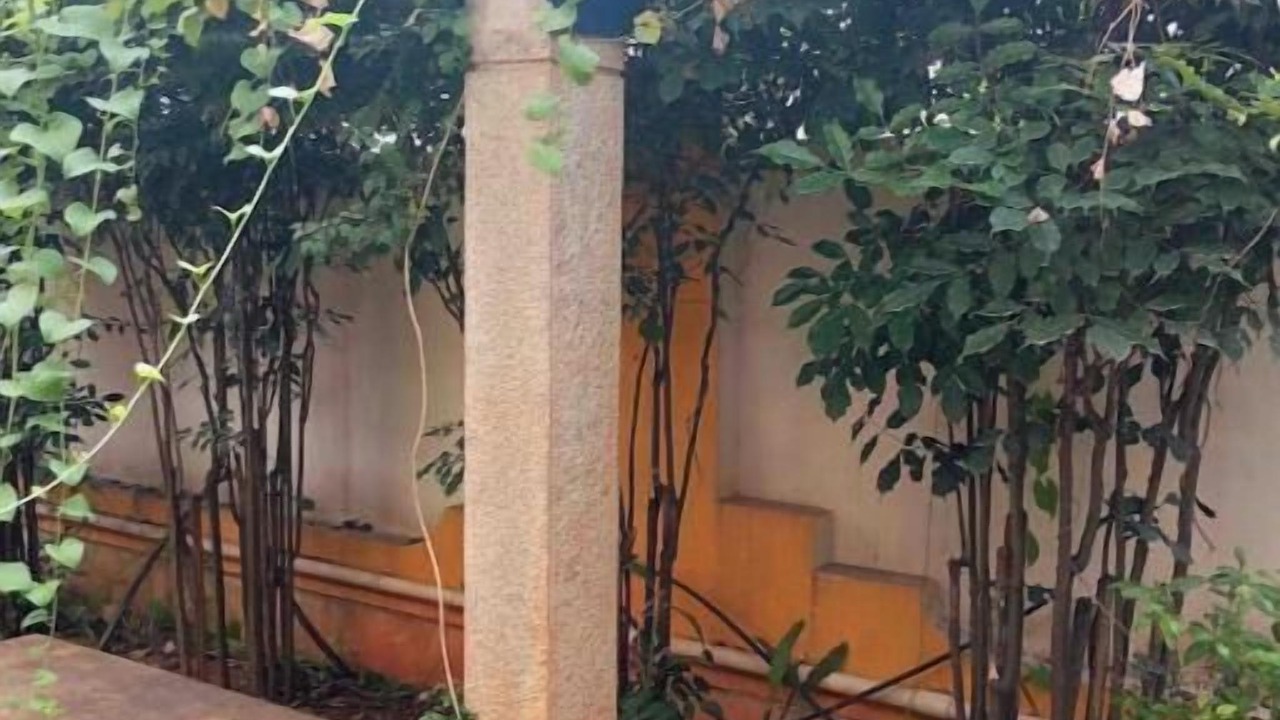 Photo of Outdoor in Bengaluru