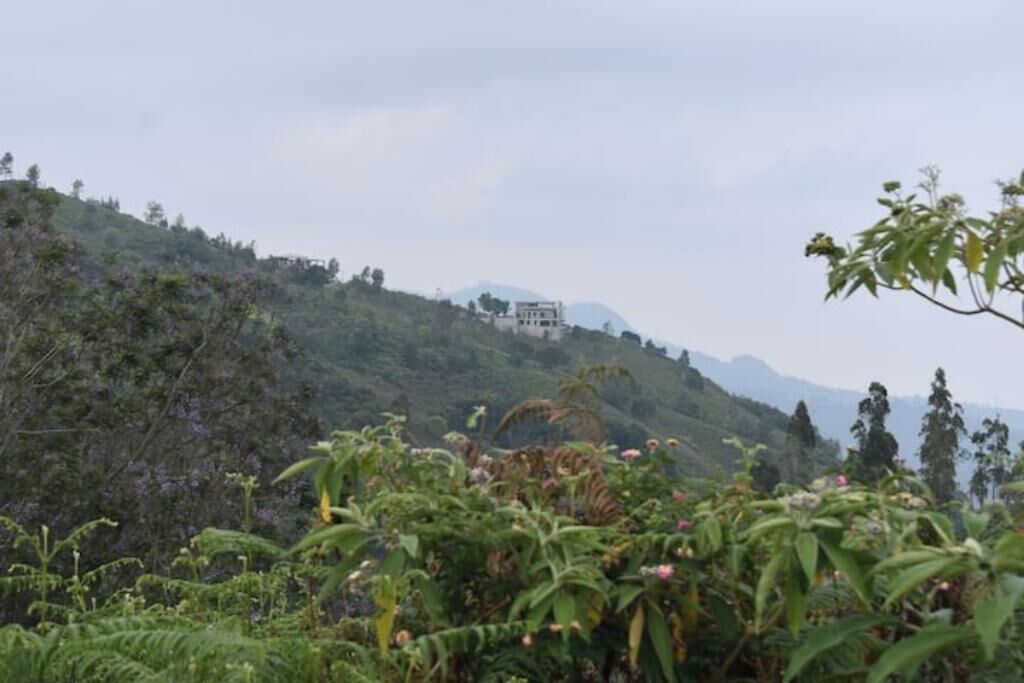 Photo of Others in Ooty