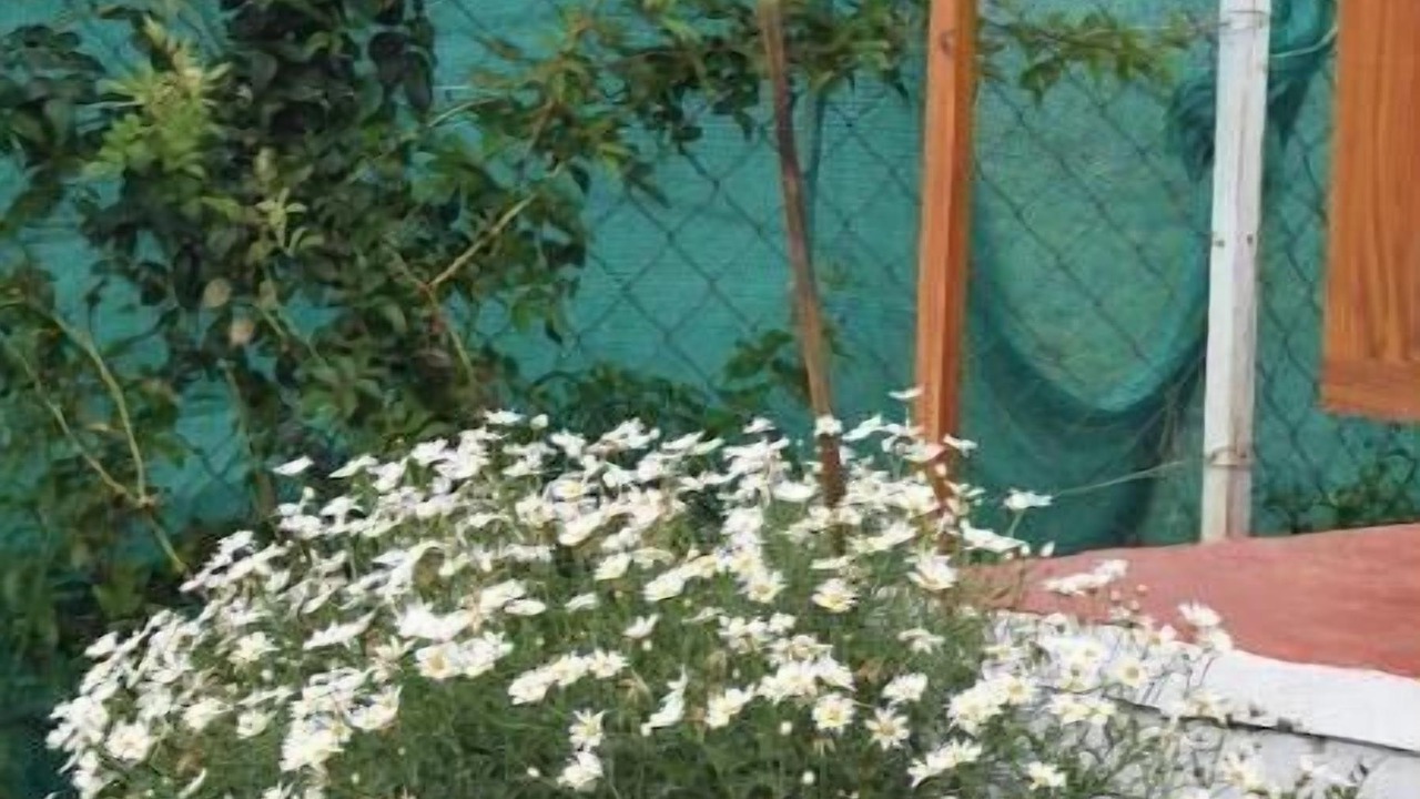 Photo of Outdoor in Ooty