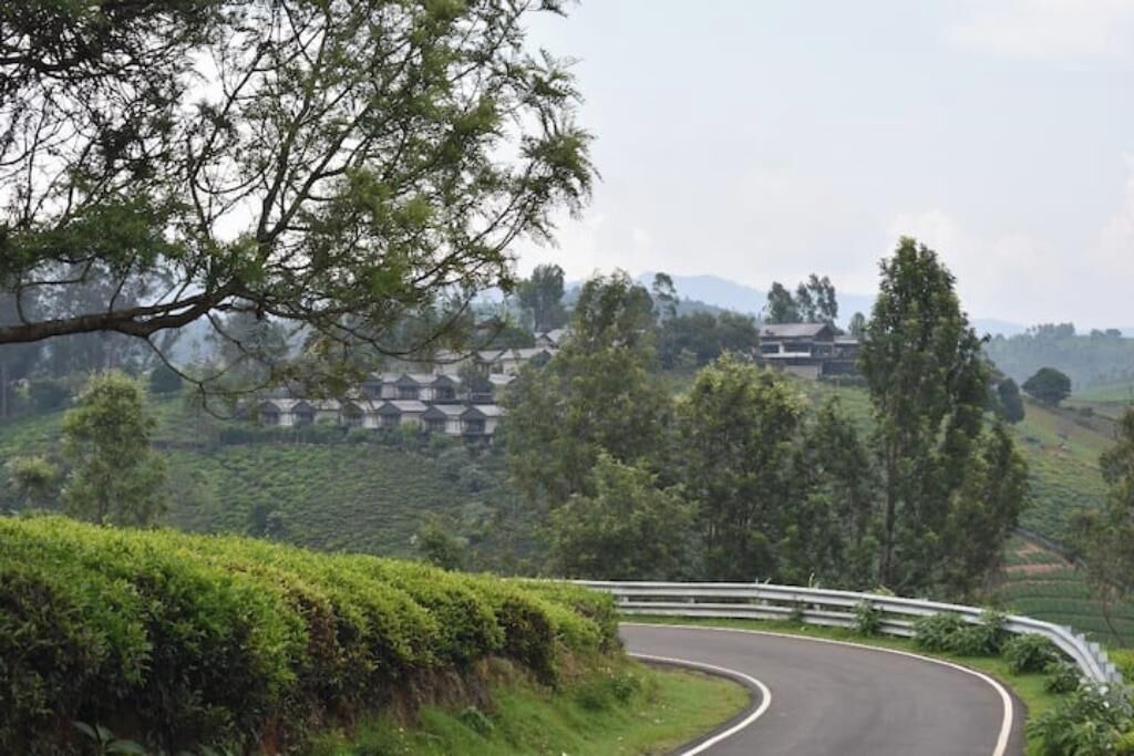 Photo of Others in Ooty