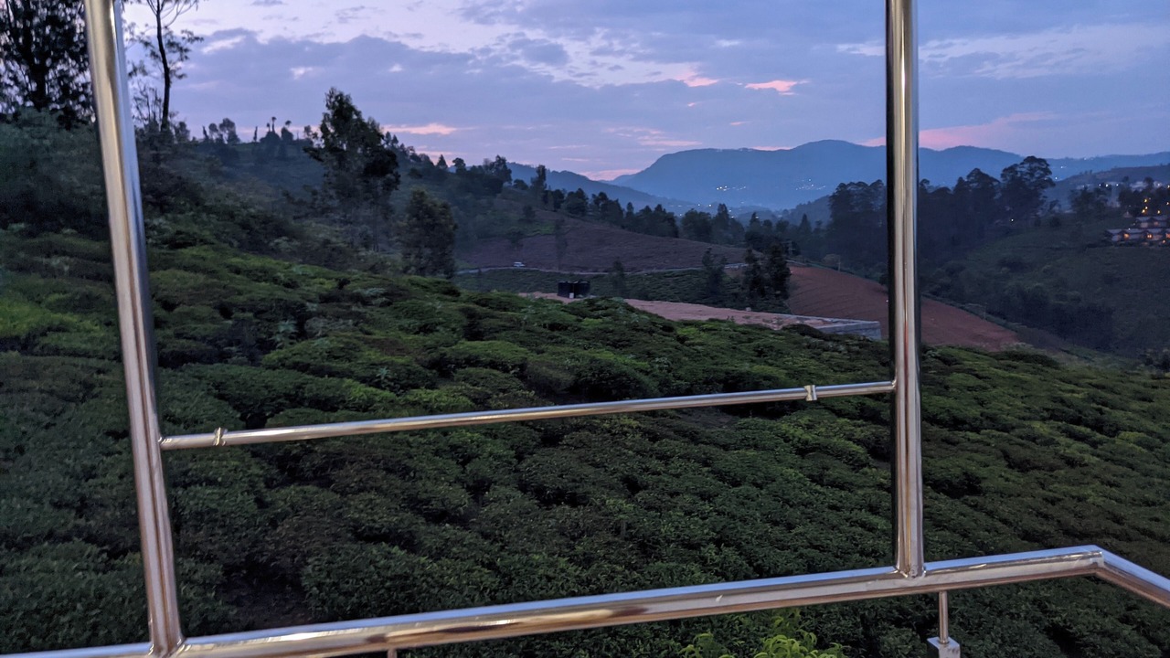 Photo of Others in Ooty