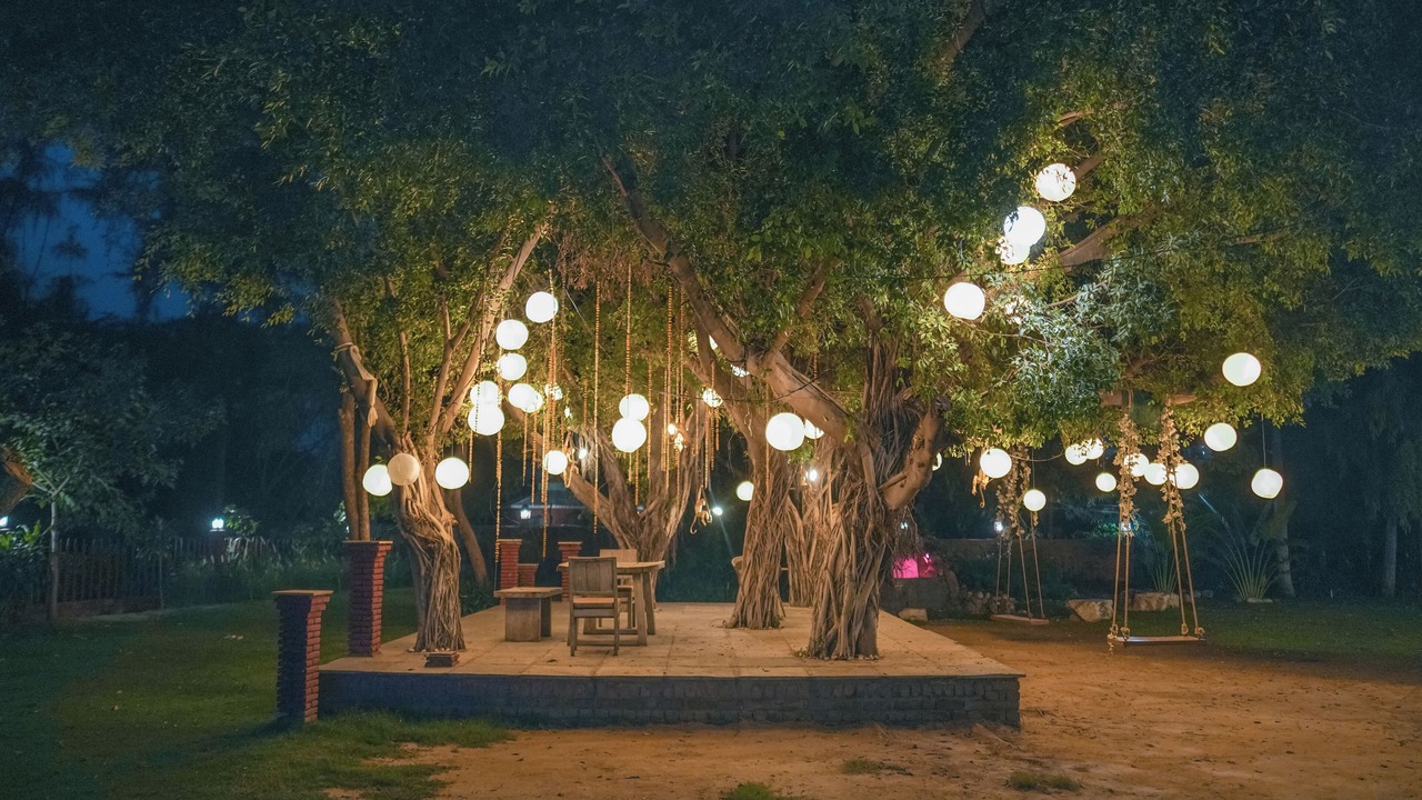 Photo of Patio Balcony in Gurugram