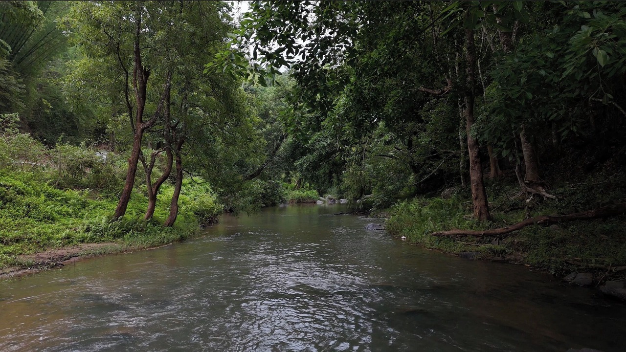 Photo of Others in Mannarkkad