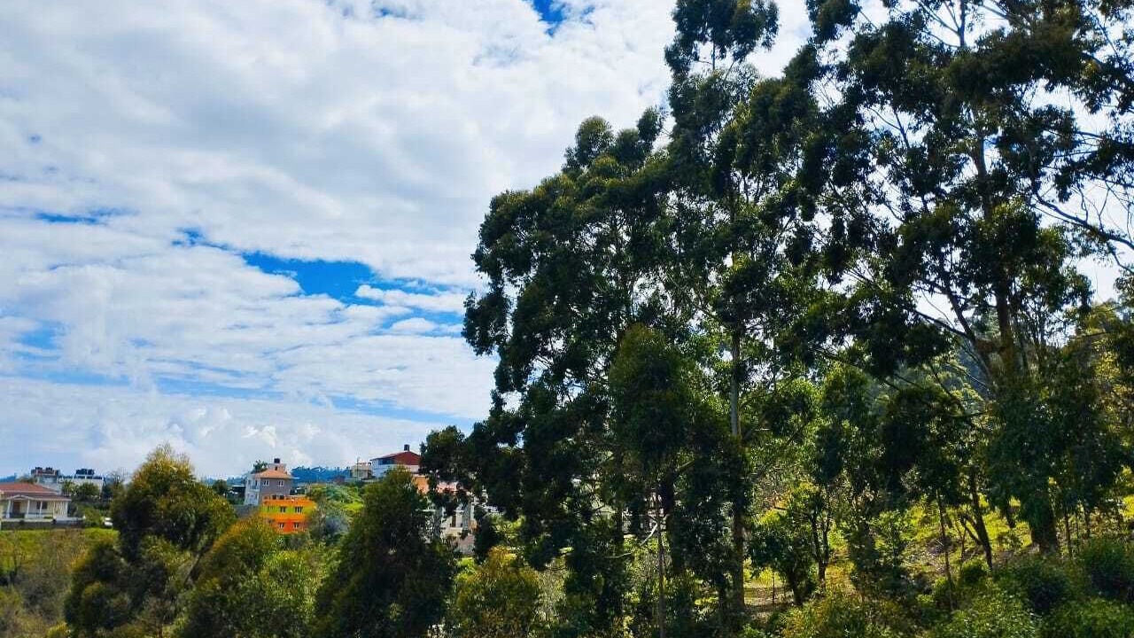 Photo of Outdoor in Kodaikanal