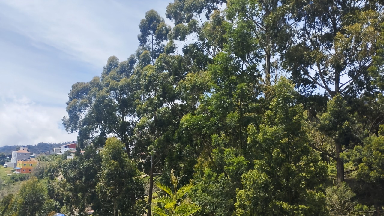 Photo of Others in Kodaikanal