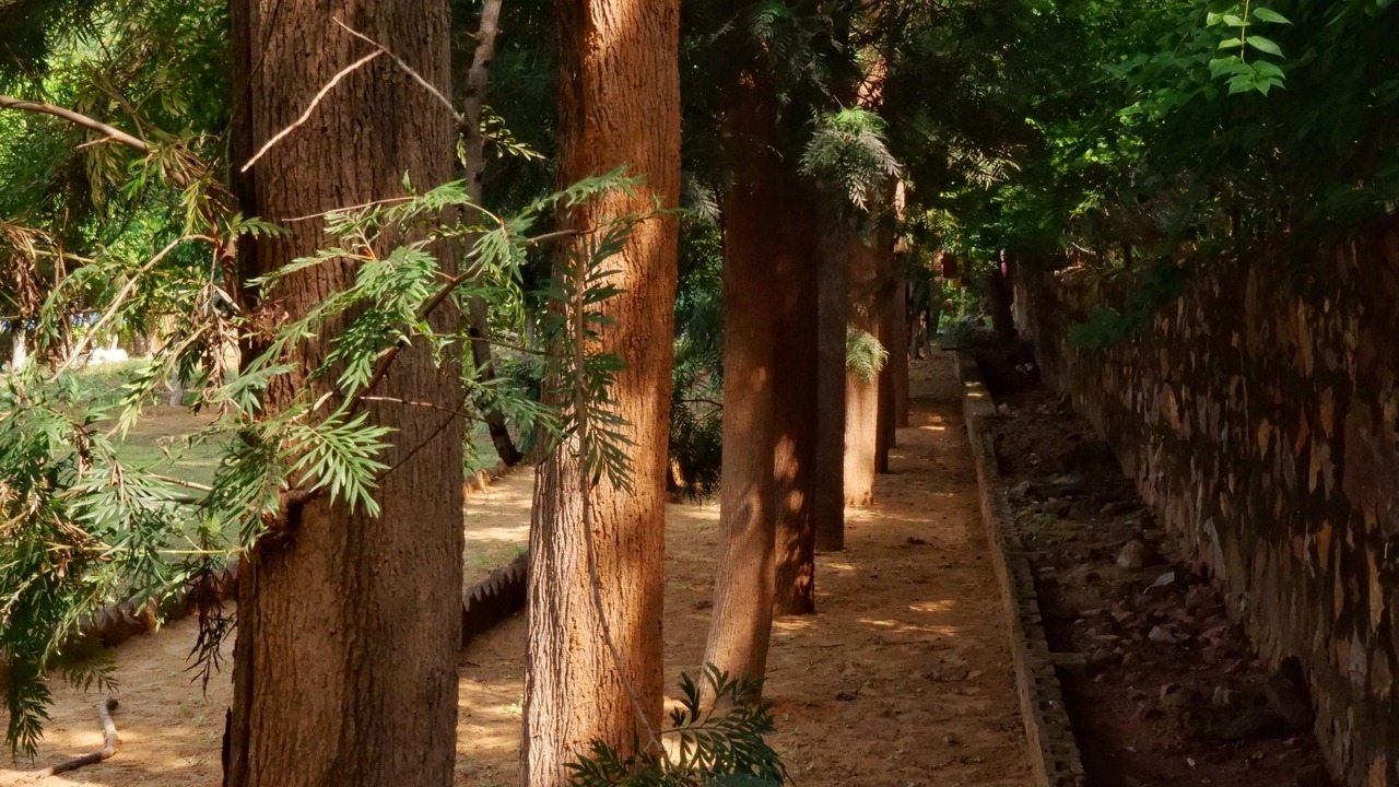 Photo of Outdoor in DLF City