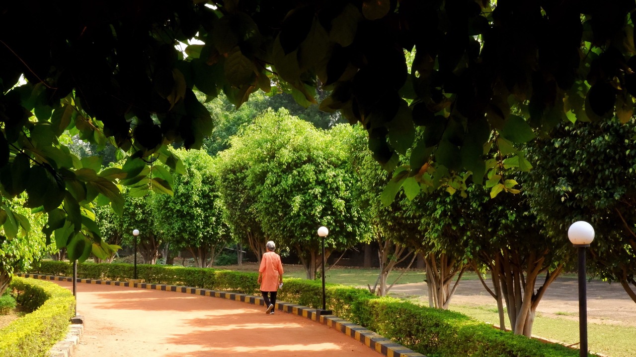 Photo of Outdoor in DLF City