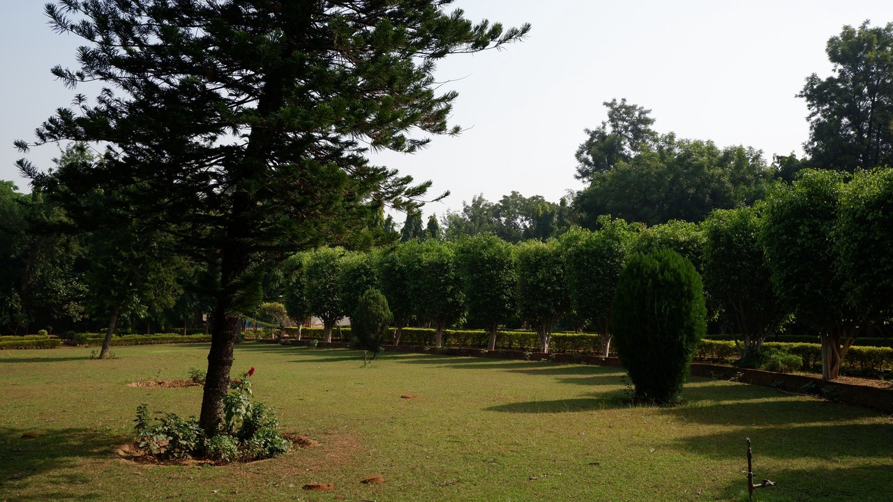 Photo of Outdoor in DLF City