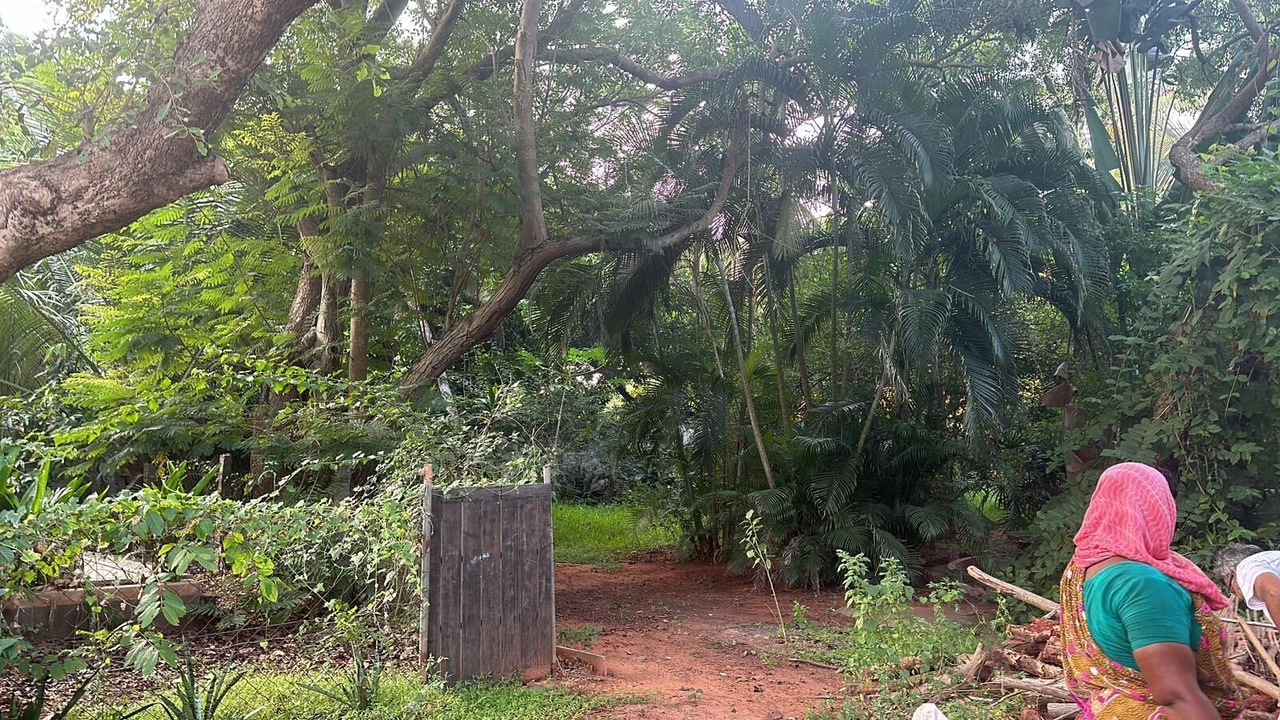 Photo of Outdoor in Auroville