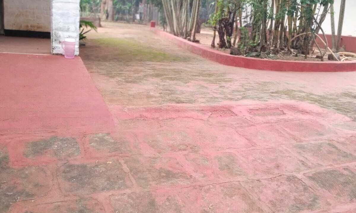 Photo of Outdoor in Auroville