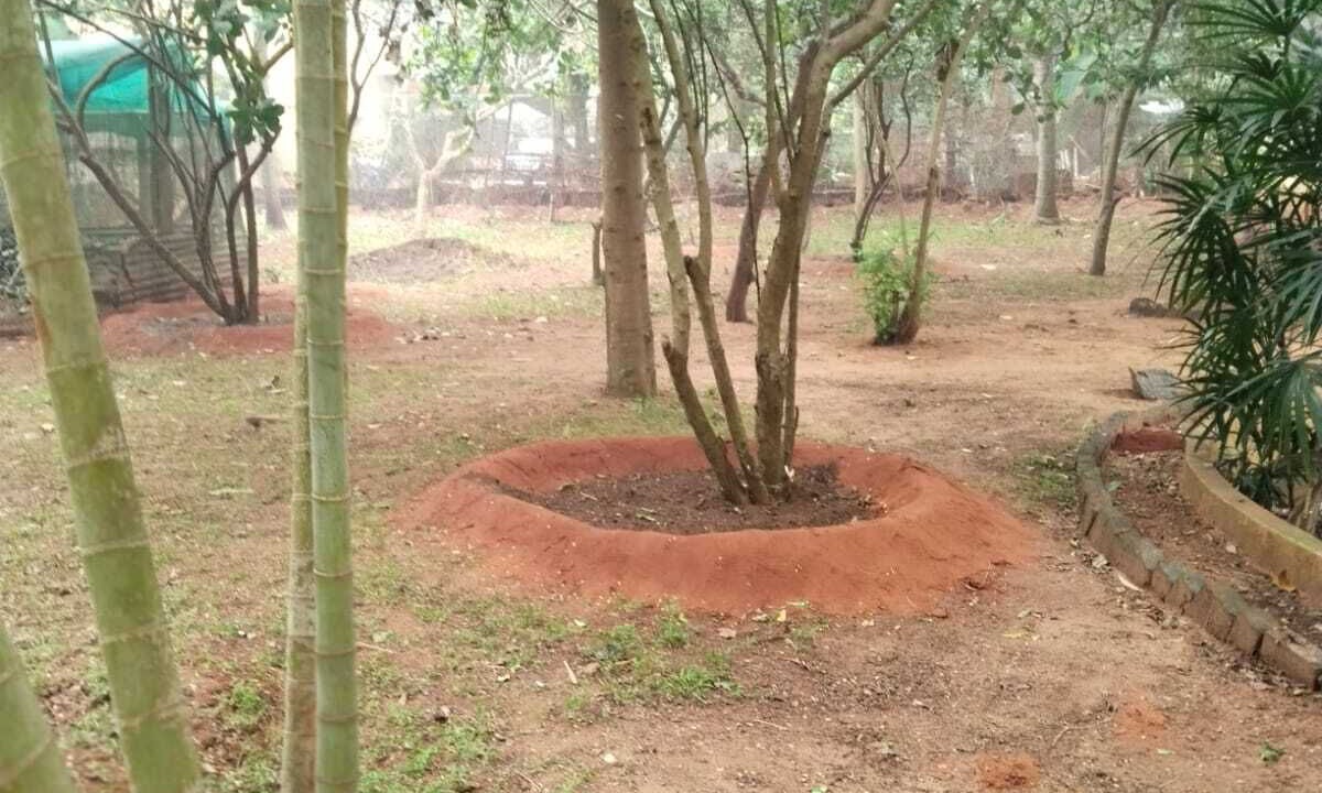 Photo of Outdoor in Auroville