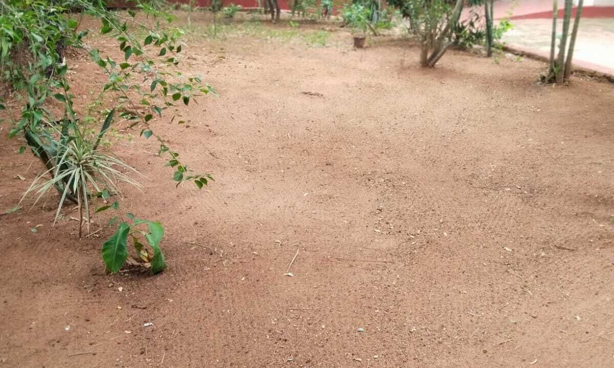 Photo of Outdoor in Auroville