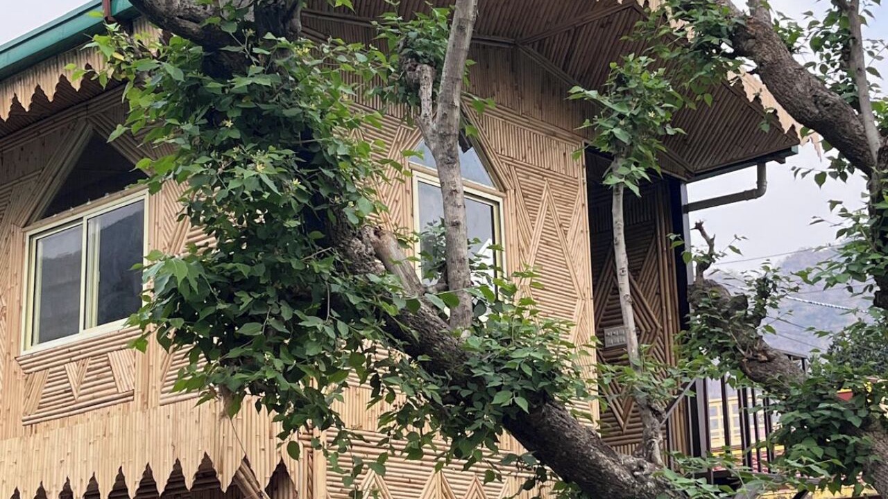 Photo of Outdoor in Tapovan