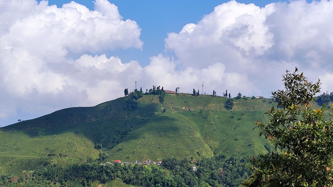 Photo of Others in Darjeeling