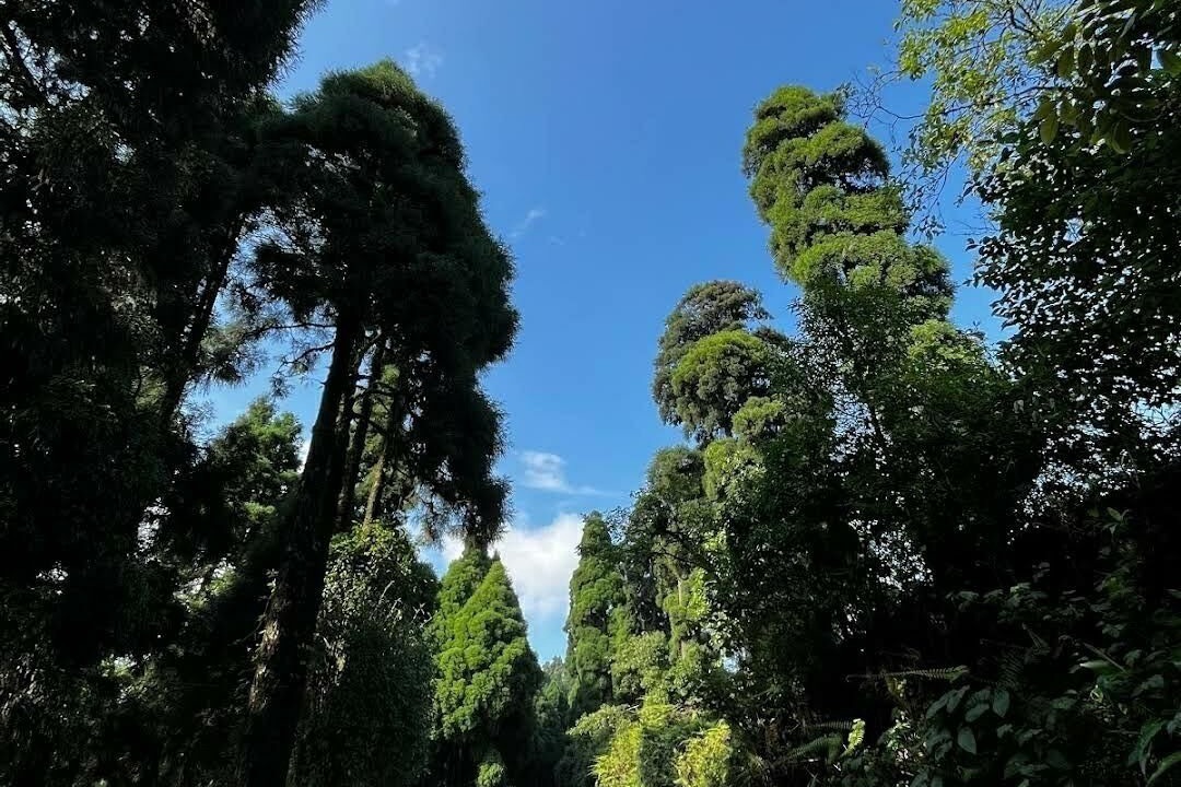 Photo of Outdoor in Darjeeling