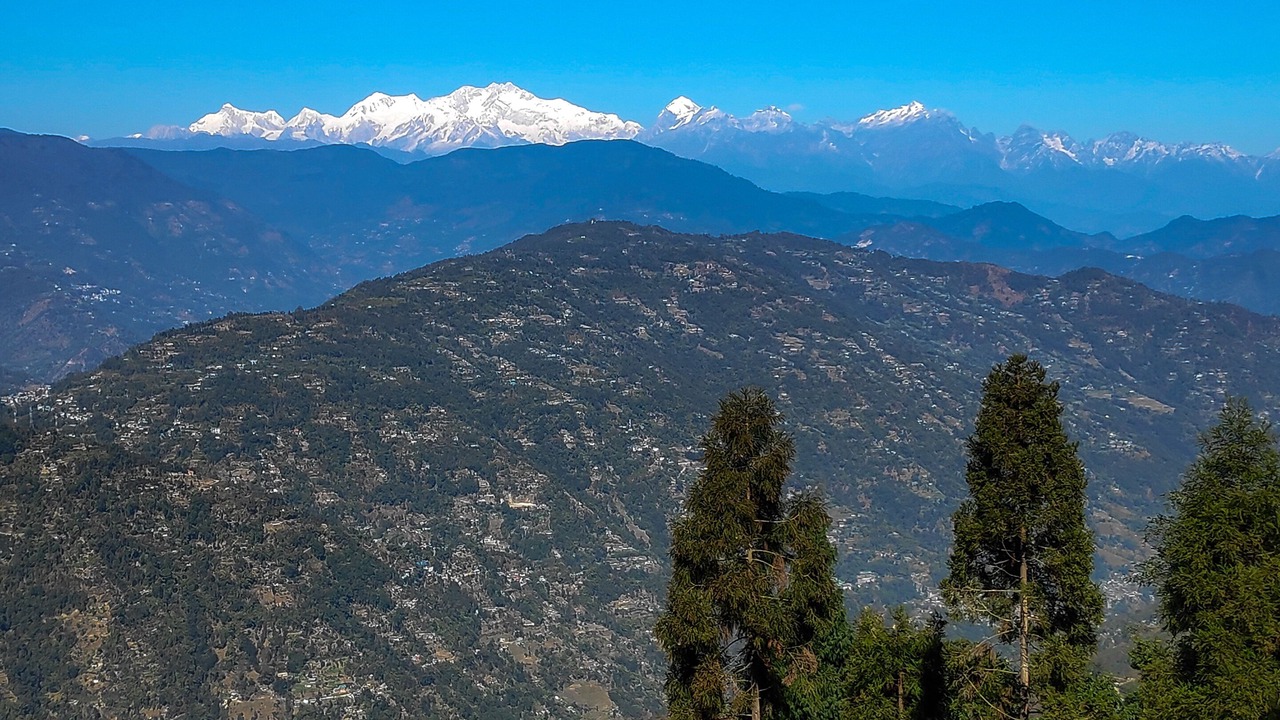 Photo of Others in Darjeeling