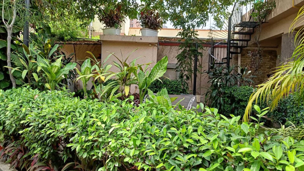 Photo of Outdoor in New Delhi
