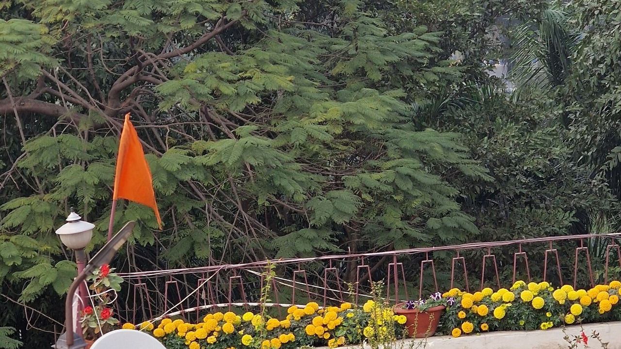 Photo of Outdoor in Phool Bagan